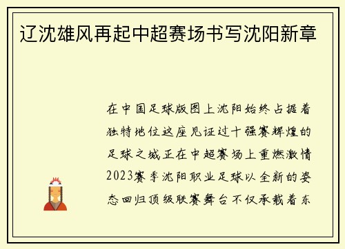 辽沈雄风再起中超赛场书写沈阳新章